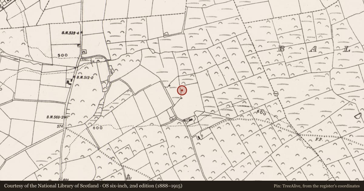 Ordnance Survey six-inch map, 2nd edition (1888–1915) covering the location of Fulacht fia, Corran, County Cork, with a pin at the register's coordinates