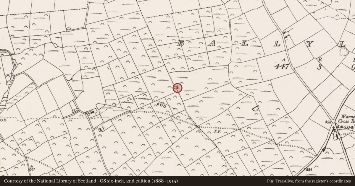 Ordnance Survey six-inch map, 2nd edition (1888–1915) covering the location of Barrow - ring-barrow, Ballyleigh, County Cork, with a pin at the register's coordinates