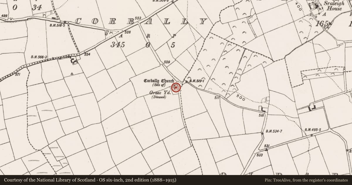 Ordnance Survey six-inch map, 2nd edition (1888–1915) covering the location of Church, Corbally, County Cork, with a pin at the register's coordinates