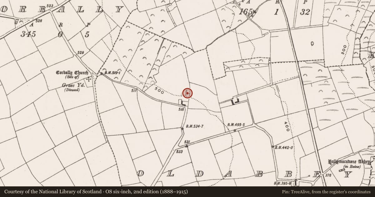 Ordnance Survey six-inch map, 2nd edition (1888–1915) covering the location of Quarry, Oldabbey, County Cork, with a pin at the register's coordinates