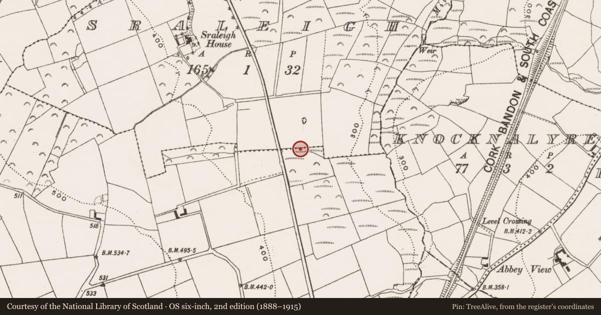 Ordnance Survey six-inch map, 2nd edition (1888–1915) covering the location of Fulacht fia, Oldabbey, County Cork, with a pin at the register's coordinates