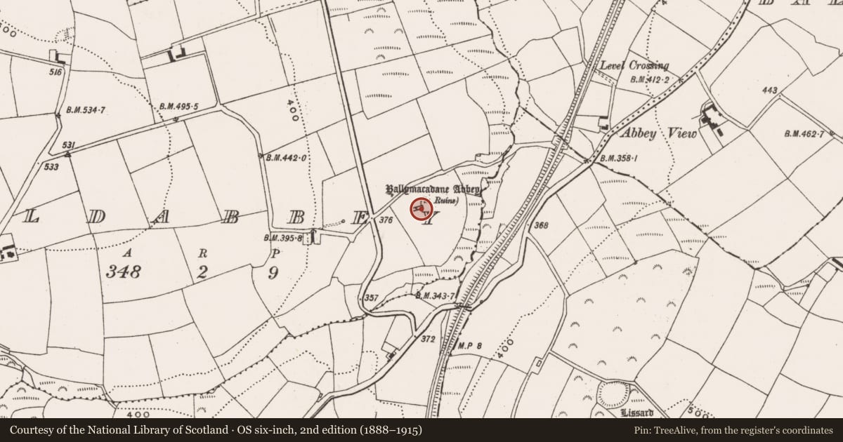 Ordnance Survey six-inch map, 2nd edition (1888–1915) covering the location of Graveyard, Oldabbey, County Cork, with a pin at the register's coordinates
