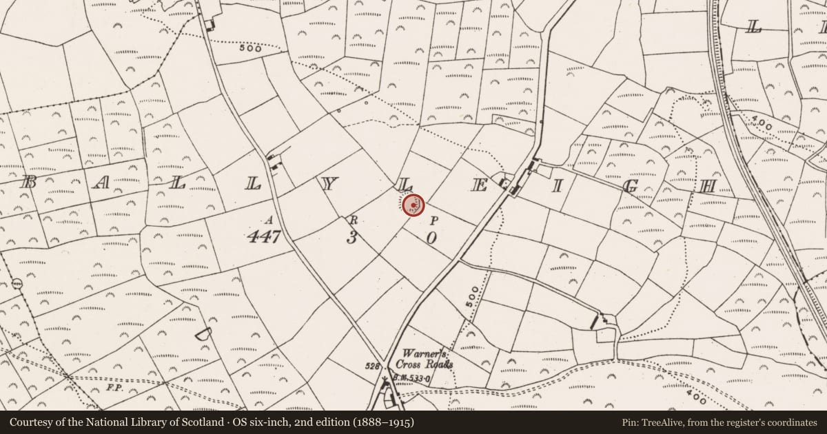 Ordnance Survey six-inch map, 2nd edition (1888–1915) covering the location of Ringfort - rath, Ballyleigh, County Cork, with a pin at the register's coordinates