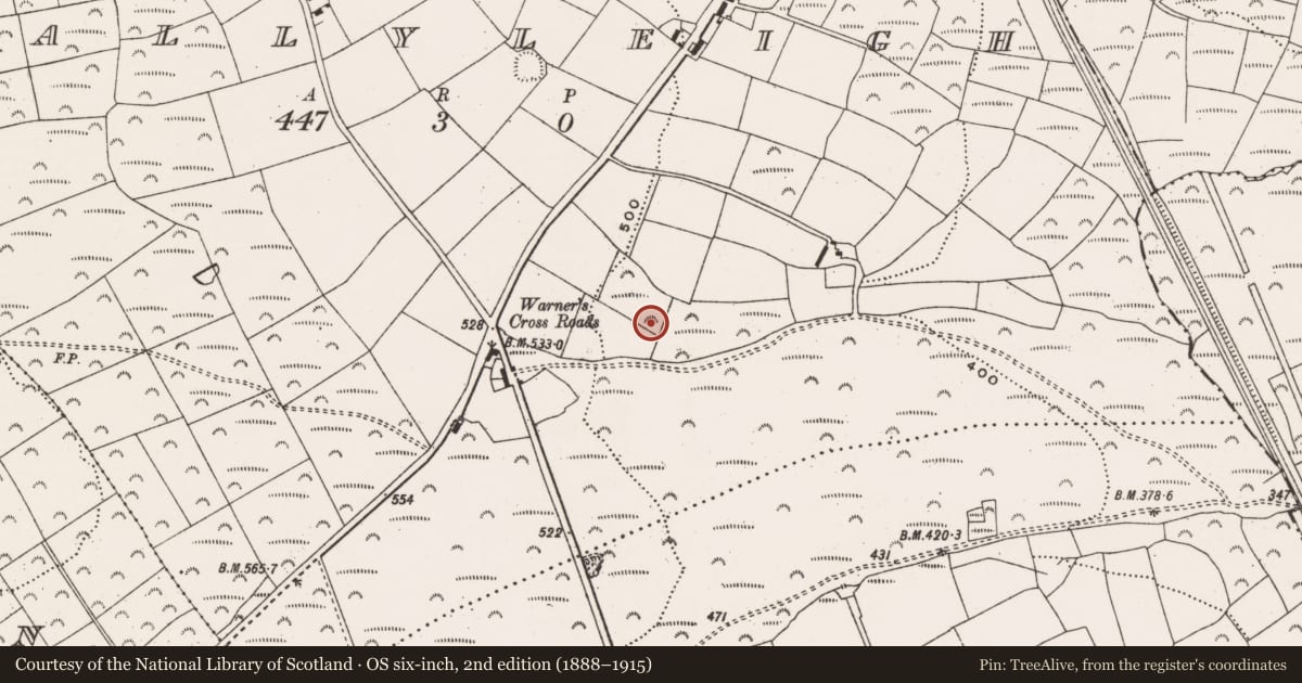Ordnance Survey six-inch map, 2nd edition (1888–1915) covering the location of Fulacht fia, Ballyleigh, County Cork, with a pin at the register's coordinates