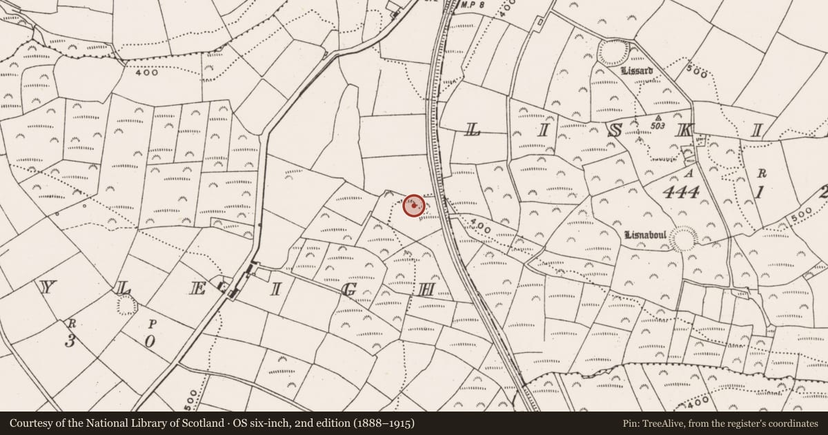 Ordnance Survey six-inch map, 2nd edition (1888–1915) covering the location of Fulacht fia, Ballyleigh, County Cork, with a pin at the register's coordinates