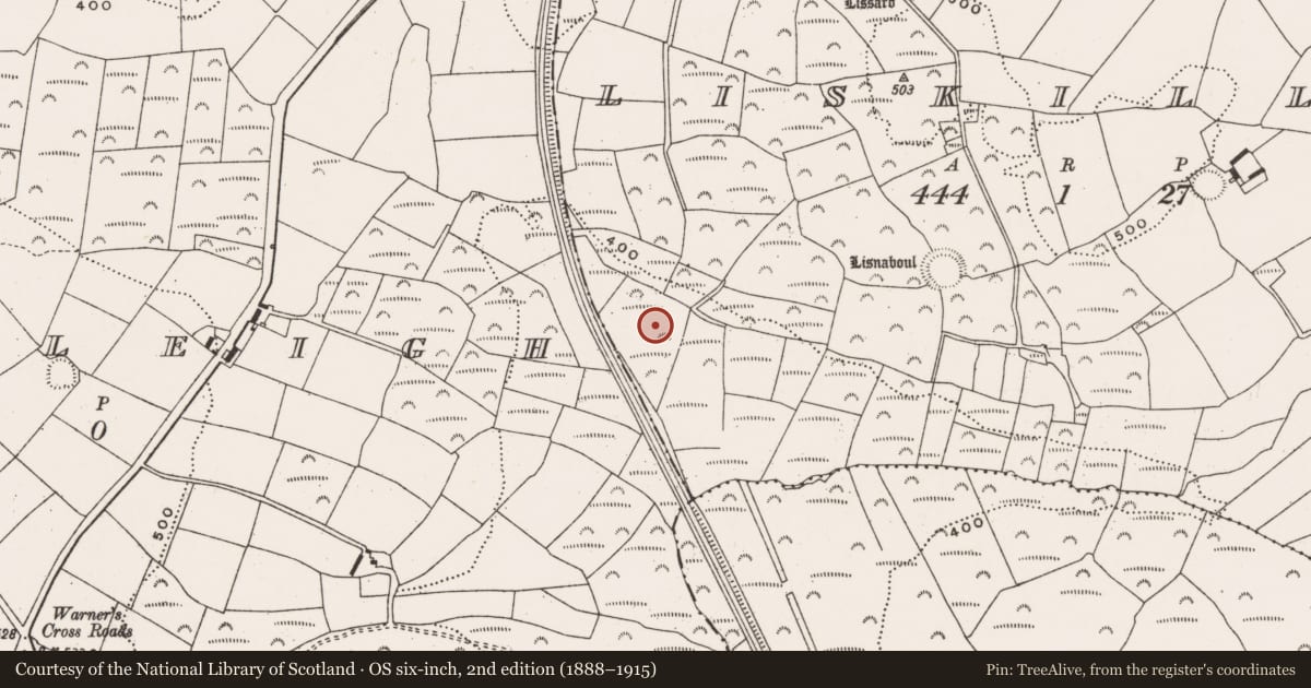 Ordnance Survey six-inch map, 2nd edition (1888–1915) covering the location of Fulacht fia, Liskillea, County Cork, with a pin at the register's coordinates