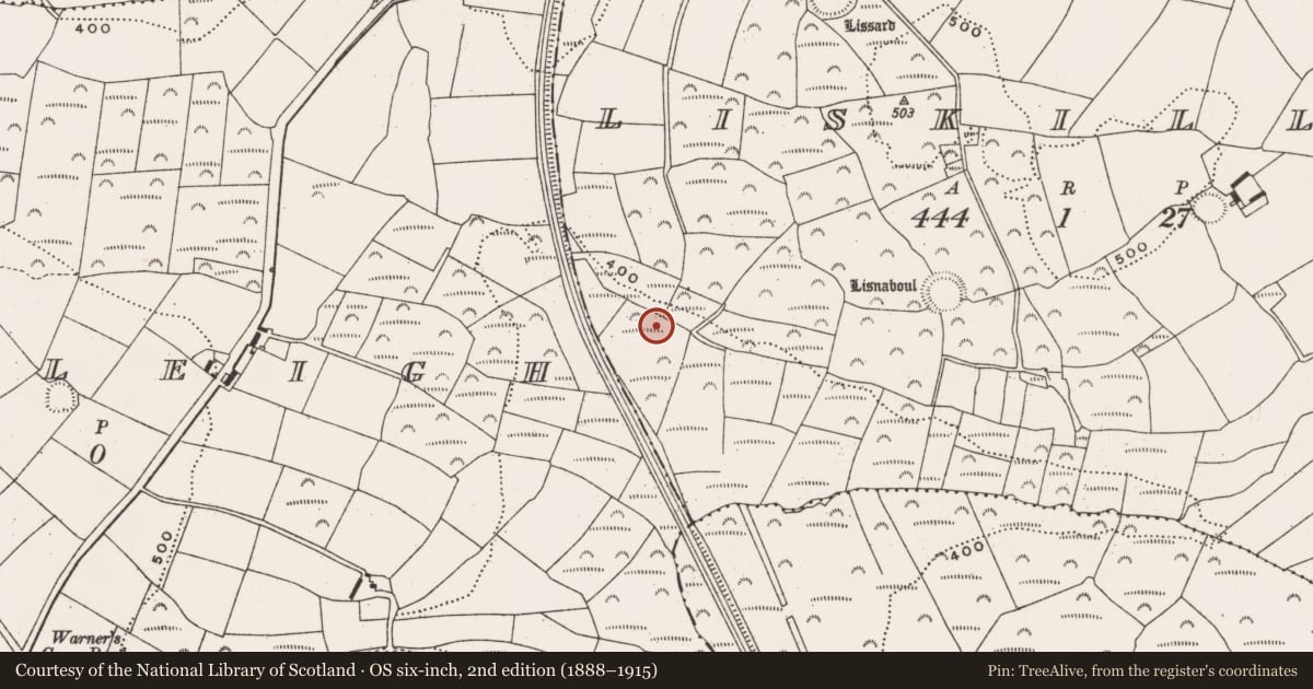 Ordnance Survey six-inch map, 2nd edition (1888–1915) covering the location of Fulacht fia, Liskillea, County Cork, with a pin at the register's coordinates