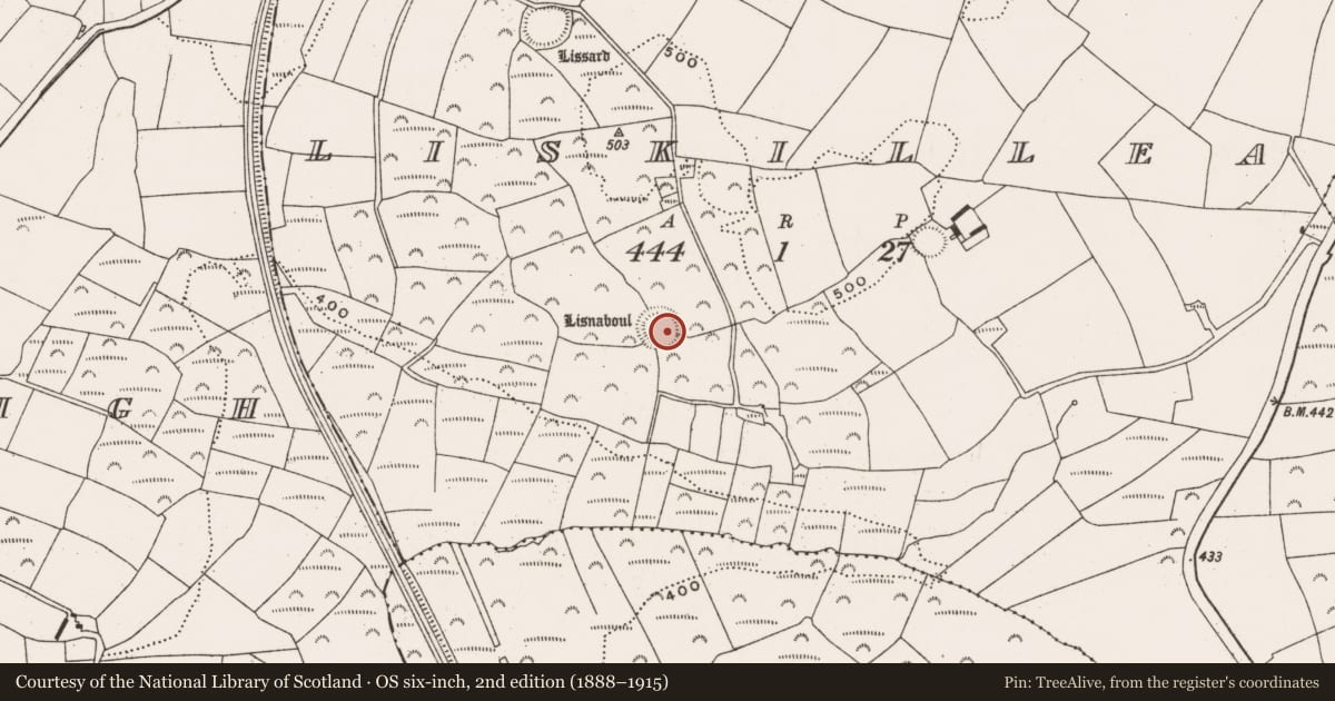 Ordnance Survey six-inch map, 2nd edition (1888–1915) covering the location of Souterrain, Liskillea, County Cork, with a pin at the register's coordinates
