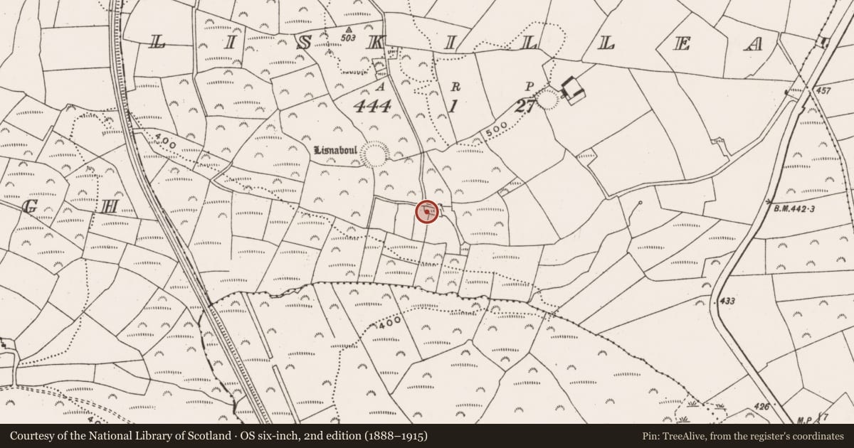 Ordnance Survey six-inch map, 2nd edition (1888–1915) covering the location of Standing stone, Liskillea, County Cork, with a pin at the register's coordinates
