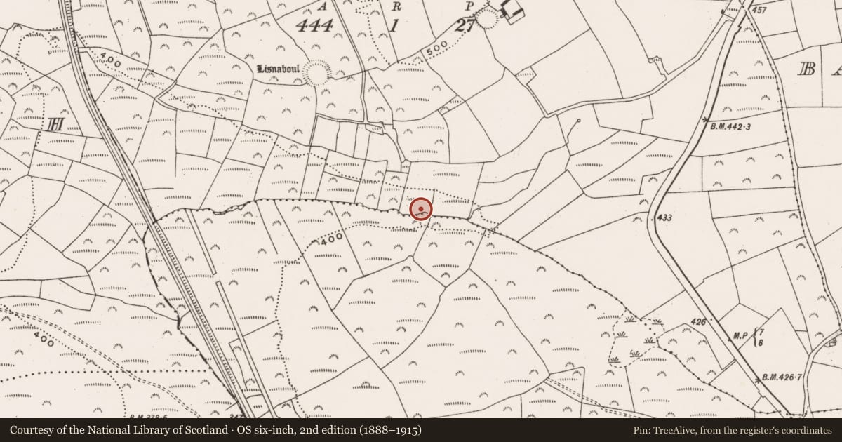 Ordnance Survey six-inch map, 2nd edition (1888–1915) covering the location of Fulacht fia, Liskillea, County Cork, with a pin at the register's coordinates
