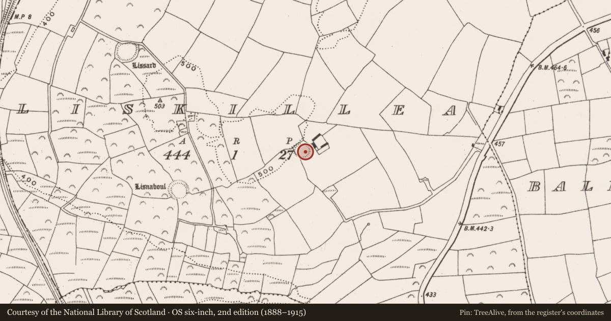 Ordnance Survey six-inch map, 2nd edition (1888–1915) covering the location of Ringfort - rath, Liskillea, County Cork, with a pin at the register's coordinates