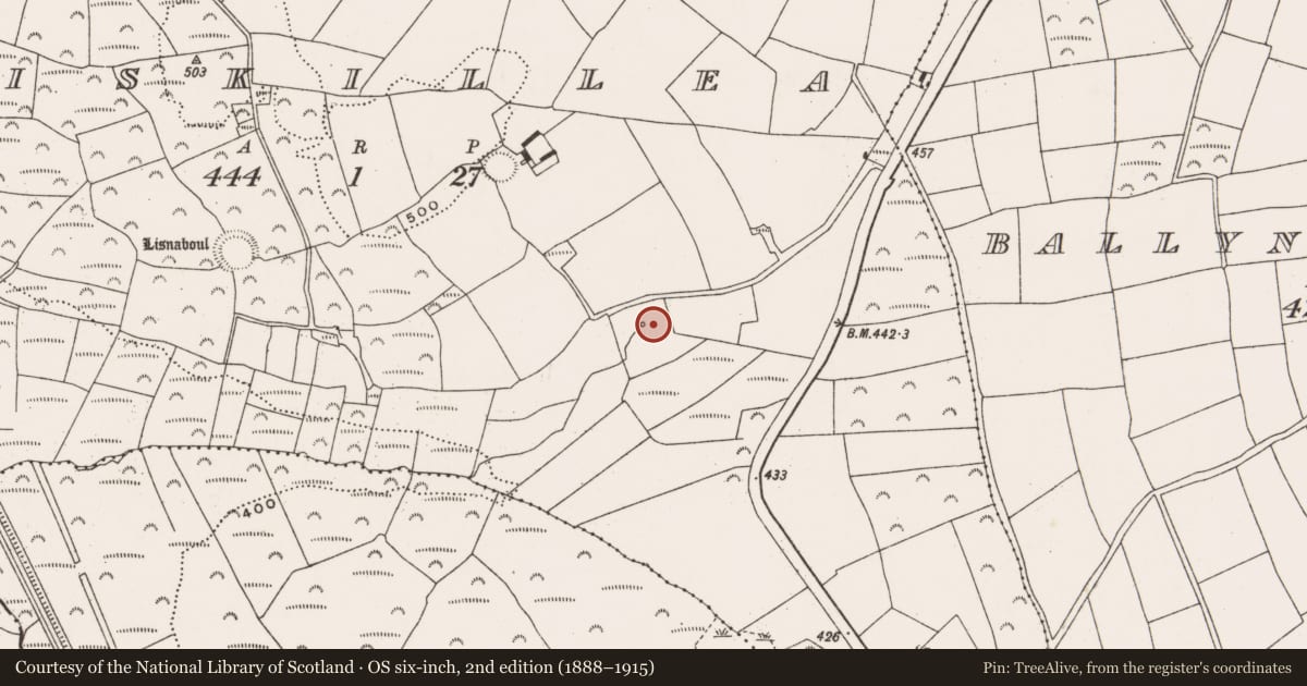 Ordnance Survey six-inch map, 2nd edition (1888–1915) covering the location of Fulacht fia, Liskillea, County Cork, with a pin at the register's coordinates