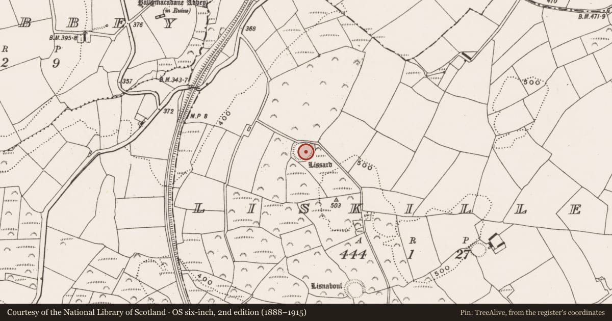 Ordnance Survey six-inch map, 2nd edition (1888–1915) covering the location of Ringfort - rath, Liskillea, County Cork, with a pin at the register's coordinates