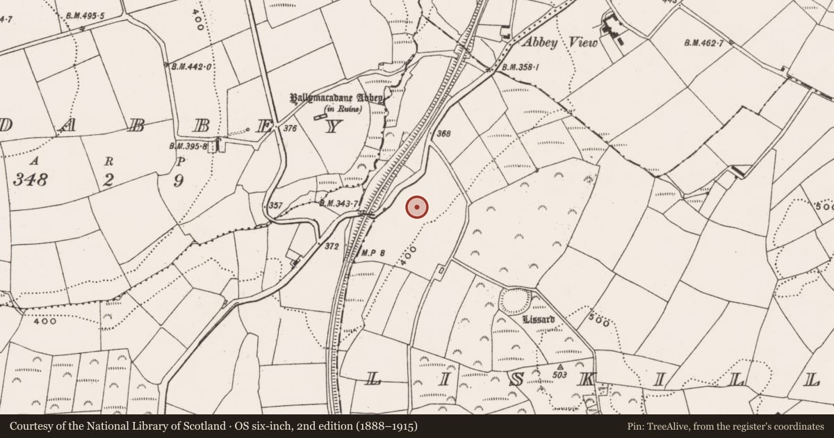 Ordnance Survey six-inch map, 2nd edition (1888–1915) covering the location of Fulacht fia, Liskillea, County Cork, with a pin at the register's coordinates