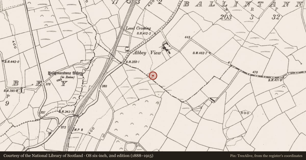 Ordnance Survey six-inch map, 2nd edition (1888–1915) covering the location of Fulacht fia, Ballintannig, County Cork, with a pin at the register's coordinates