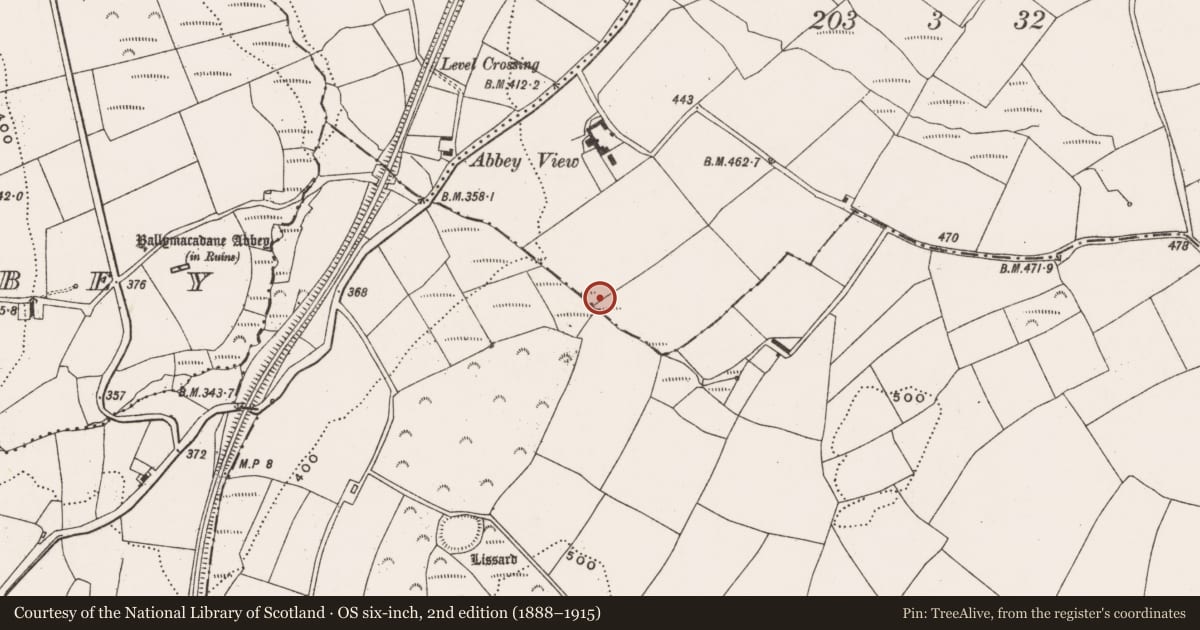 Ordnance Survey six-inch map, 2nd edition (1888–1915) covering the location of Fulacht fia, Ballintannig, County Cork, with a pin at the register's coordinates