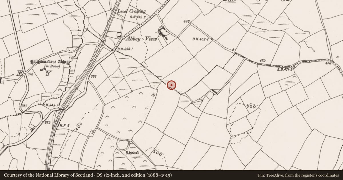 Ordnance Survey six-inch map, 2nd edition (1888–1915) covering the location of Fulacht fia, Ballintannig, County Cork, with a pin at the register's coordinates