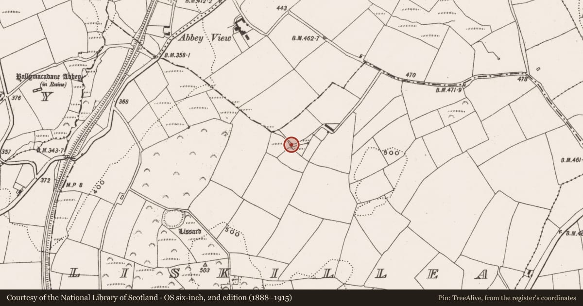 Ordnance Survey six-inch map, 2nd edition (1888–1915) covering the location of Fulacht fia, Liskillea, County Cork, with a pin at the register's coordinates