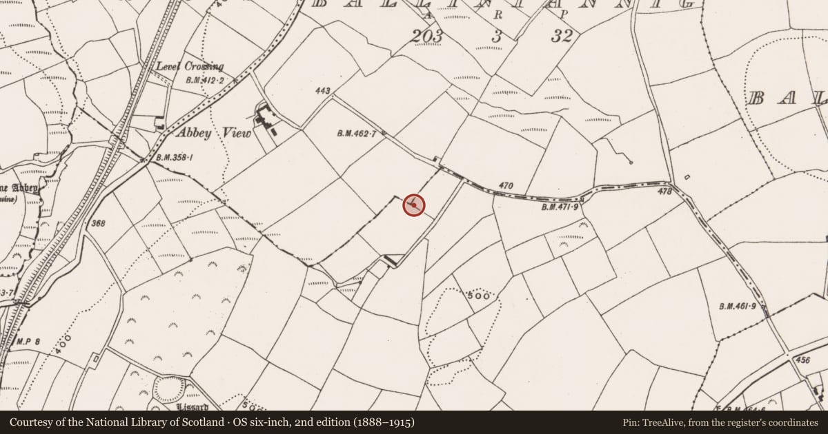 Ordnance Survey six-inch map, 2nd edition (1888–1915) covering the location of Standing stone, Liskillea, County Cork, with a pin at the register's coordinates