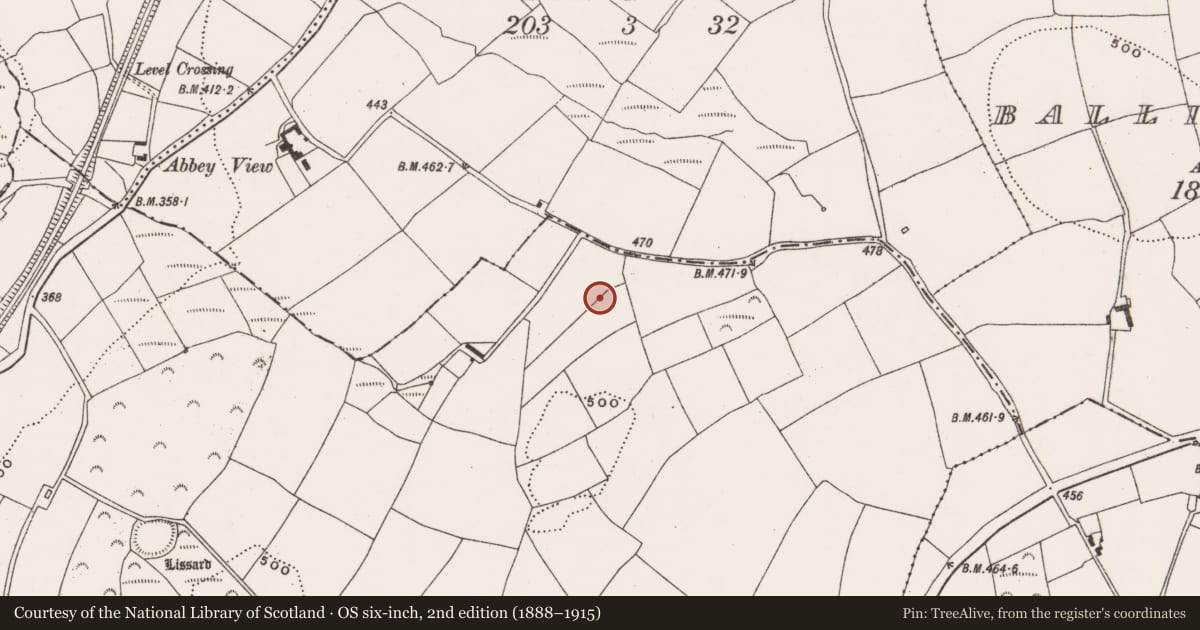 Ordnance Survey six-inch map, 2nd edition (1888–1915) covering the location of Standing stone, Liskillea, County Cork, with a pin at the register's coordinates
