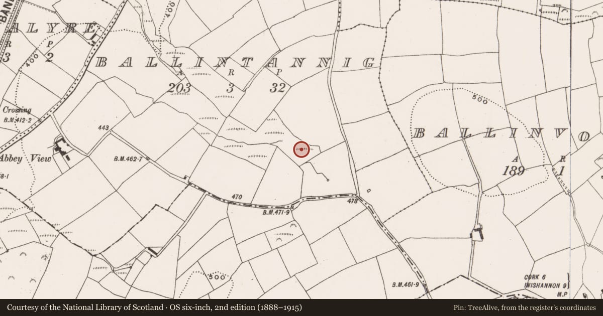 Ordnance Survey six-inch map, 2nd edition (1888–1915) covering the location of Fulacht fia, Ballintannig, County Cork, with a pin at the register's coordinates