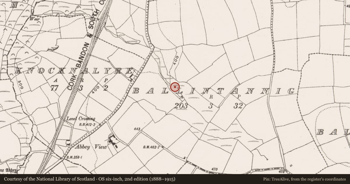 Ordnance Survey six-inch map, 2nd edition (1888–1915) covering the location of Fulacht fia, Ballintannig, County Cork, with a pin at the register's coordinates
