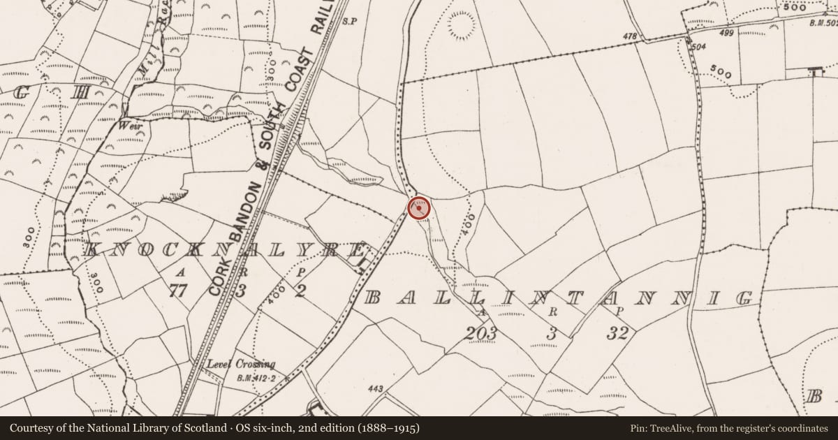 Ordnance Survey six-inch map, 2nd edition (1888–1915) covering the location of Fulacht fia, Ballintannig, County Cork, with a pin at the register's coordinates