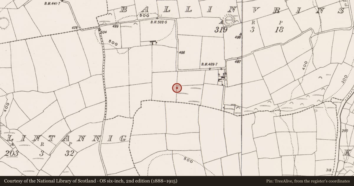 Ordnance Survey six-inch map, 2nd edition (1888–1915) covering the location of Fulacht fia, Ballinvrinsig, County Cork, with a pin at the register's coordinates