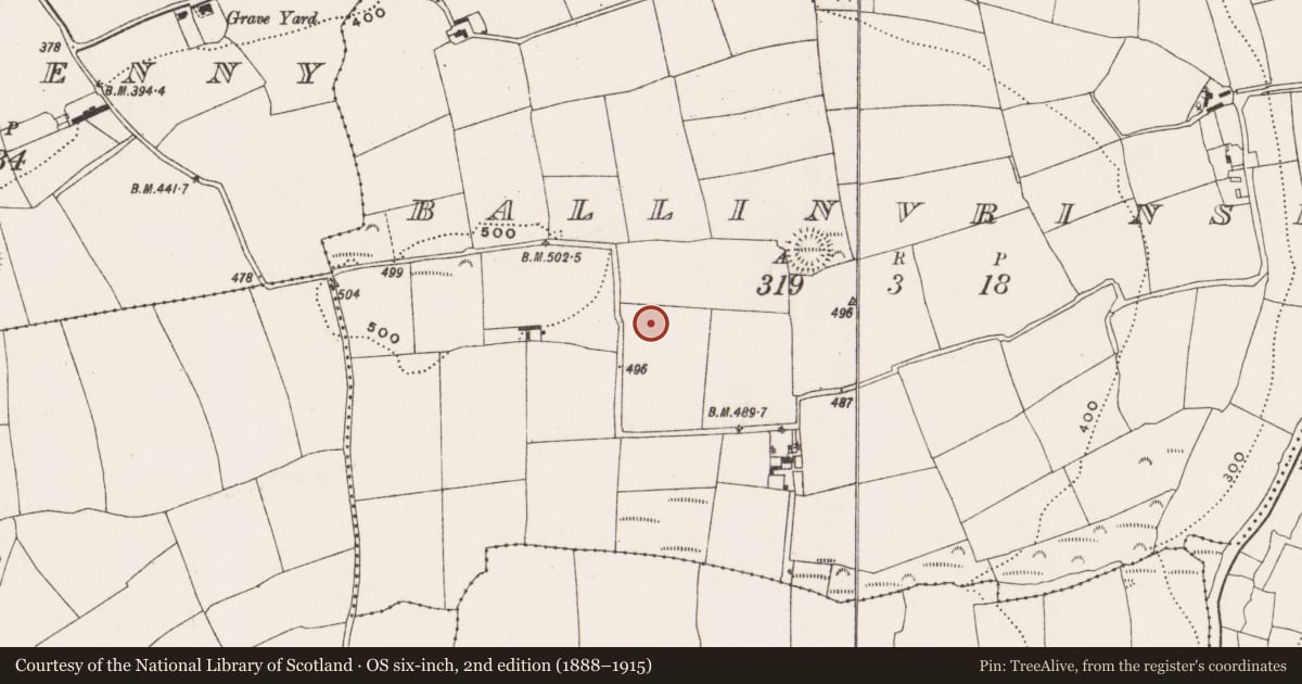 Ordnance Survey six-inch map, 2nd edition (1888–1915) covering the location of Standing stone, Ballinvrinsig, County Cork, with a pin at the register's coordinates