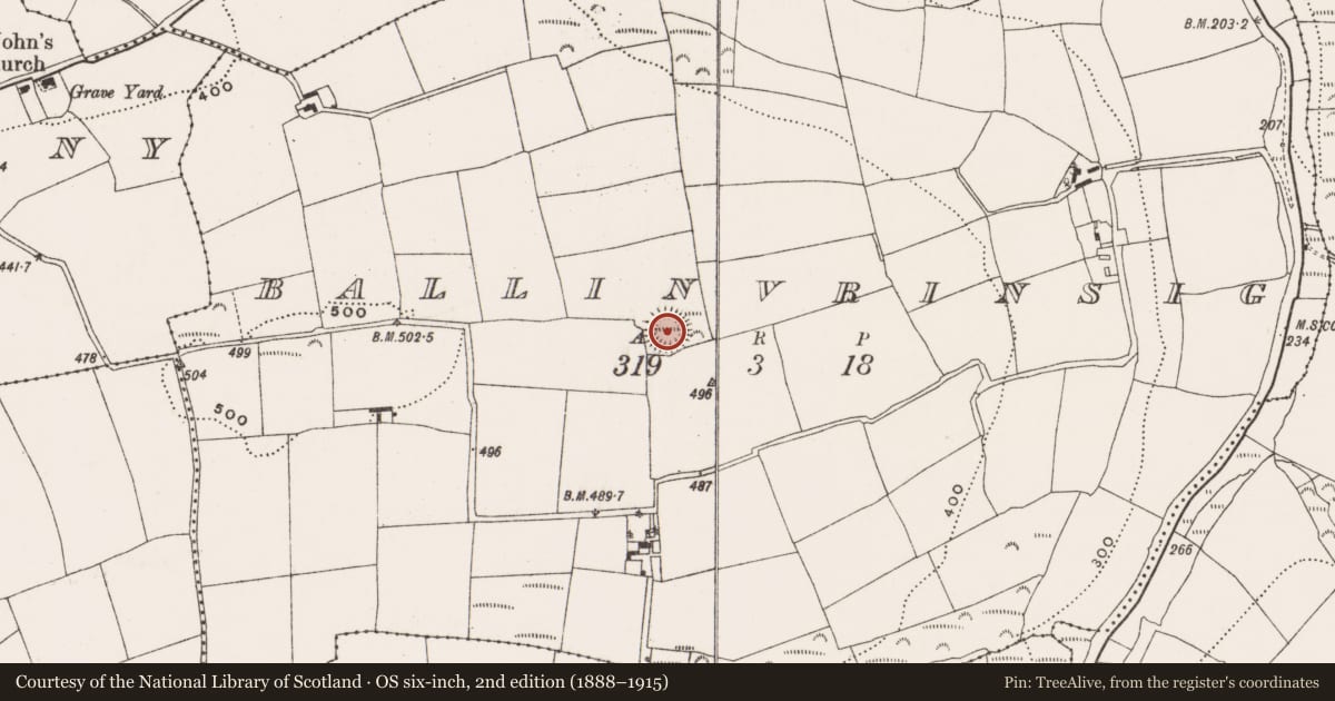 Ordnance Survey six-inch map, 2nd edition (1888–1915) covering the location of Ringfort - rath, Ballinvrinsig, County Cork, with a pin at the register's coordinates