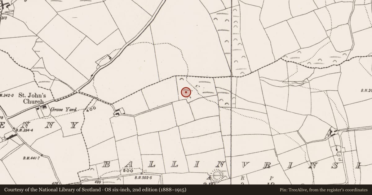 Ordnance Survey six-inch map, 2nd edition (1888–1915) covering the location of Fulacht fia, Ballinvrinsig, County Cork, with a pin at the register's coordinates