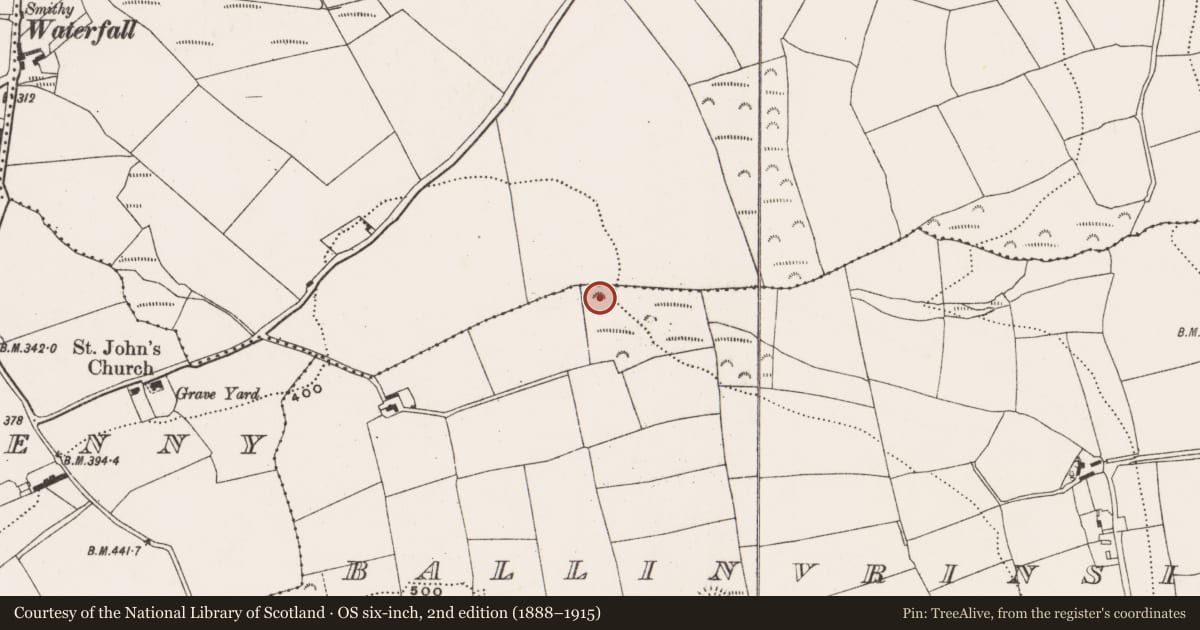 Ordnance Survey six-inch map, 2nd edition (1888–1915) covering the location of Fulacht fia, Ballinvrinsig, County Cork, with a pin at the register's coordinates