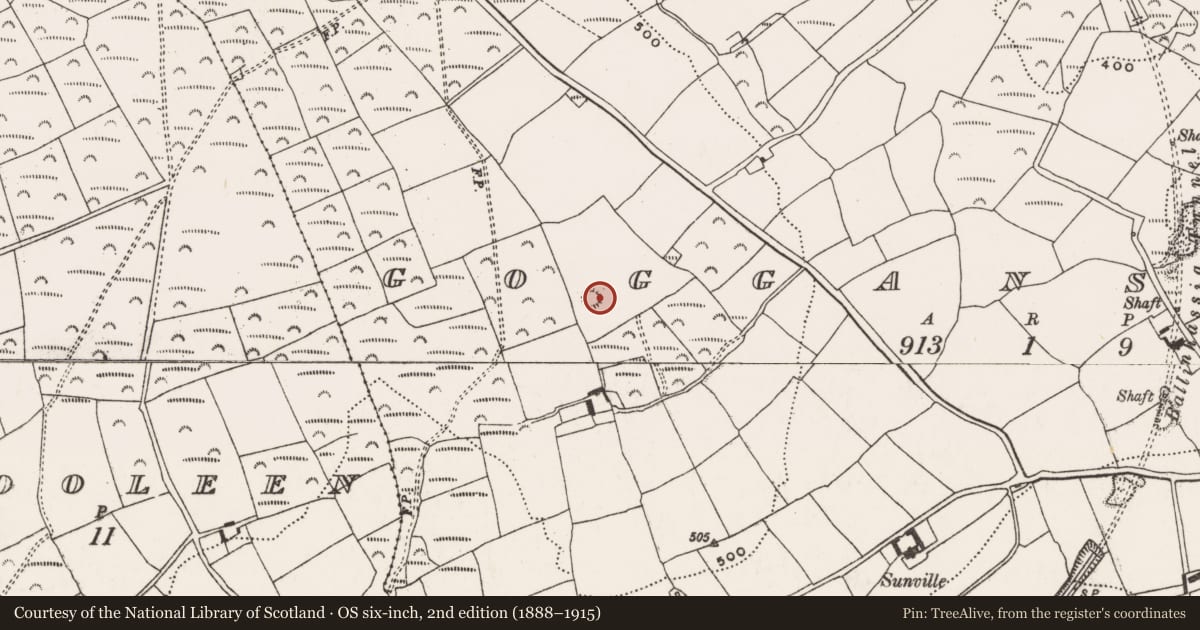 Ordnance Survey six-inch map, 2nd edition (1888–1915) covering the location of Barrow - ring-barrow, Gogganshill, County Cork, with a pin at the register's coordinates