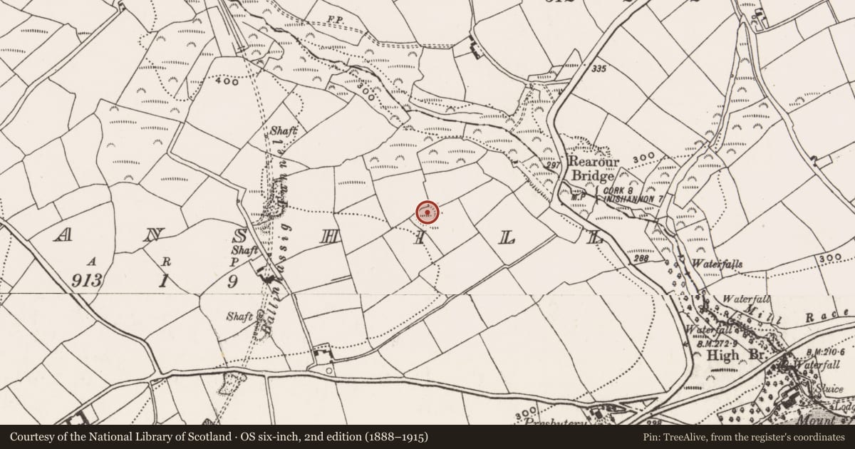 Ordnance Survey six-inch map, 2nd edition (1888–1915) covering the location of Ringfort - rath, Gogganshill, County Cork, with a pin at the register's coordinates