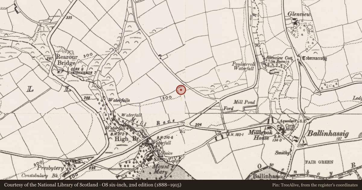 Ordnance Survey six-inch map, 2nd edition (1888–1915) covering the location of Moated site, Rearour And Barrettshill, County Cork, with a pin at the register's coordinates