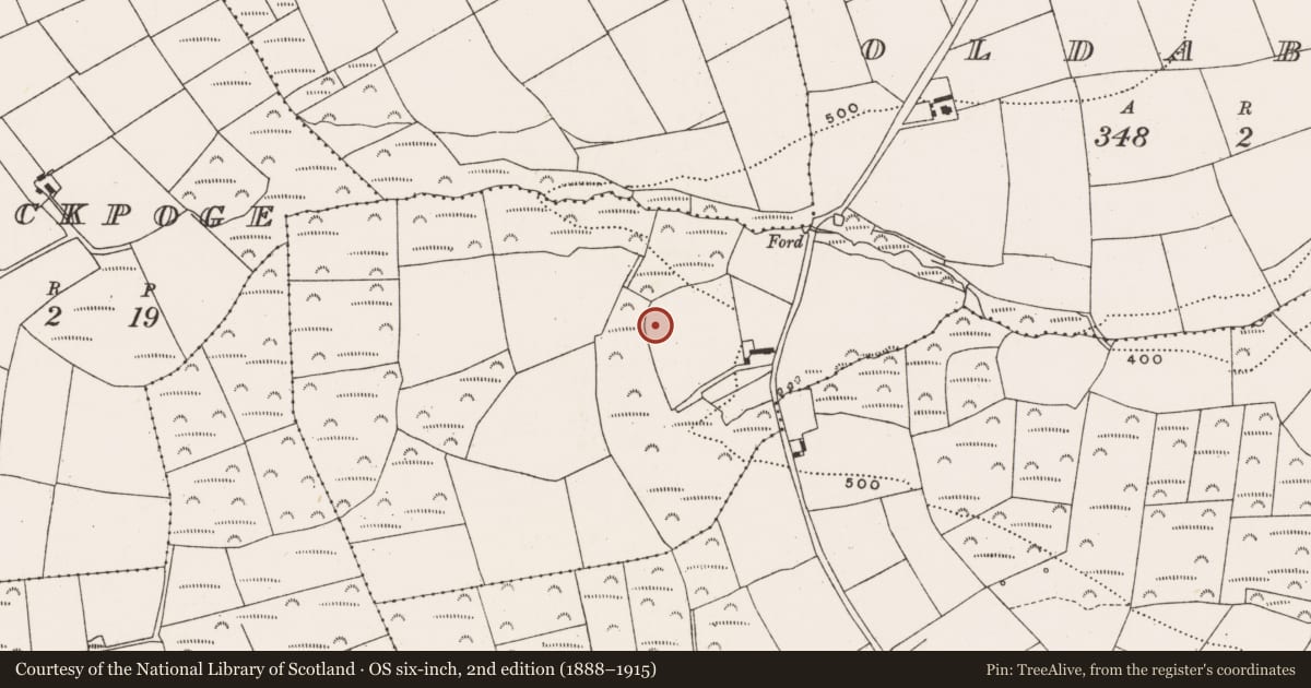 Ordnance Survey six-inch map, 2nd edition (1888–1915) covering the location of Fulacht fia, Oldabbey, County Cork, with a pin at the register's coordinates