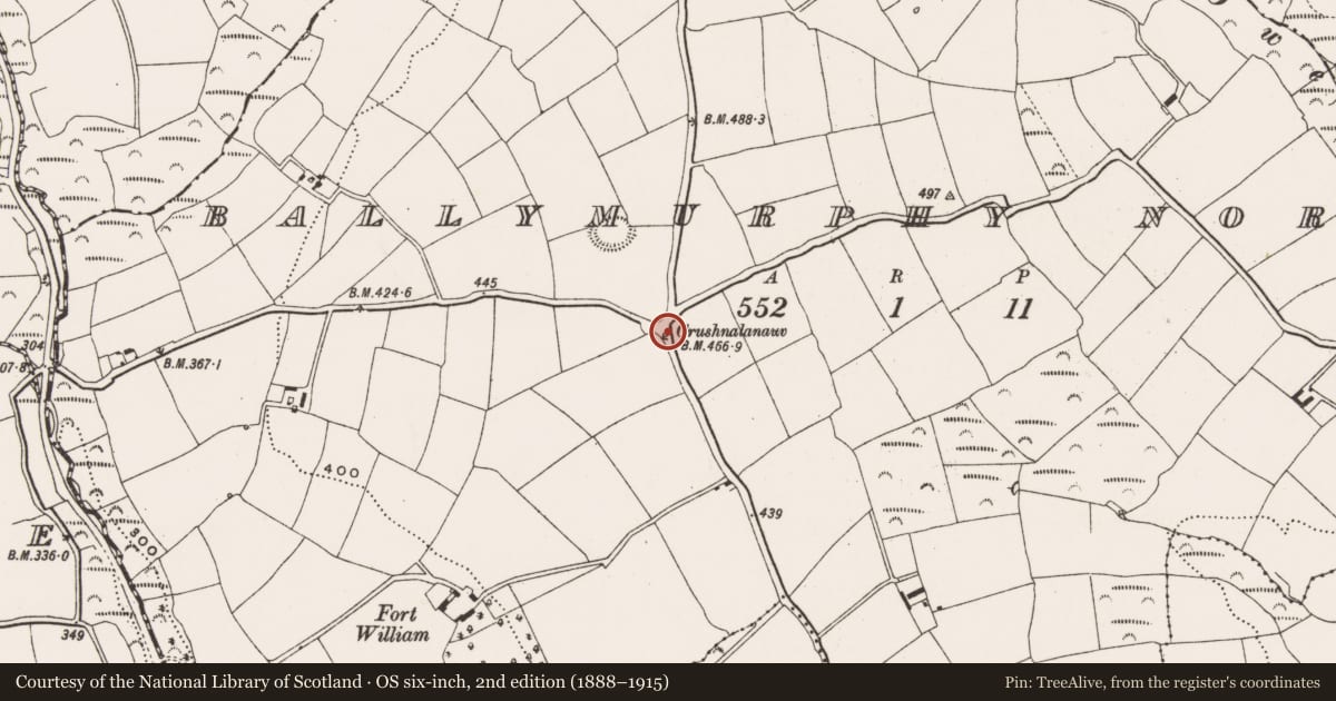 Ordnance Survey six-inch map, 2nd edition (1888–1915) covering the location of Burial ground, Ballymurphy North, County Cork, with a pin at the register's coordinates