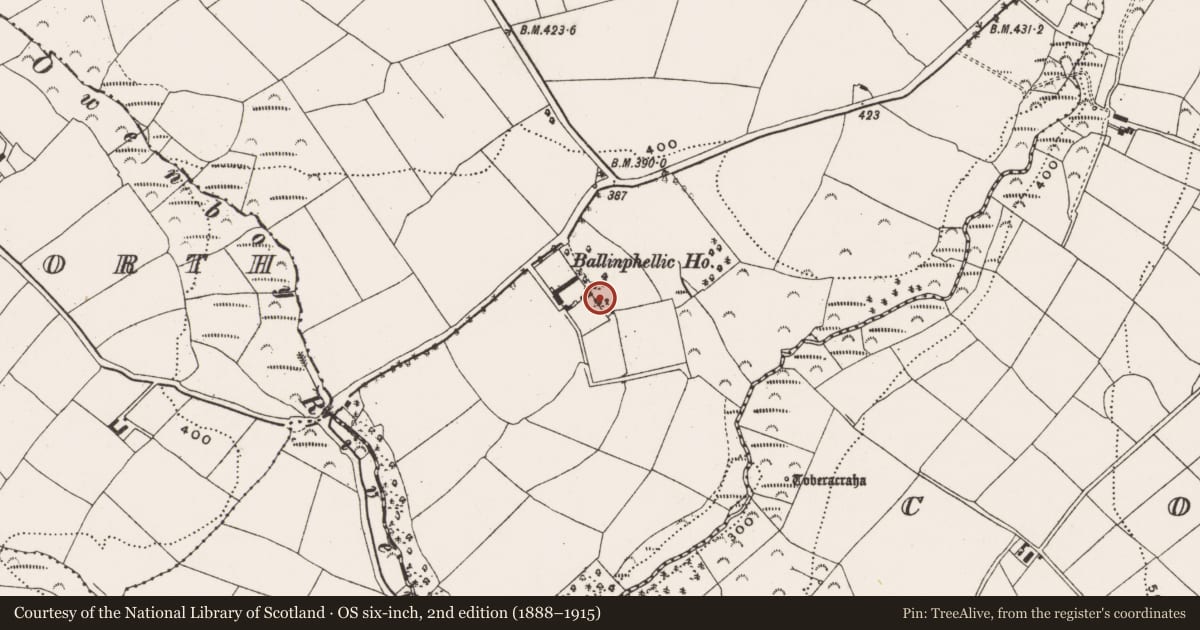 Ordnance Survey six-inch map, 2nd edition (1888–1915) covering the location of Country house, Ballinphellic, County Cork, with a pin at the register's coordinates