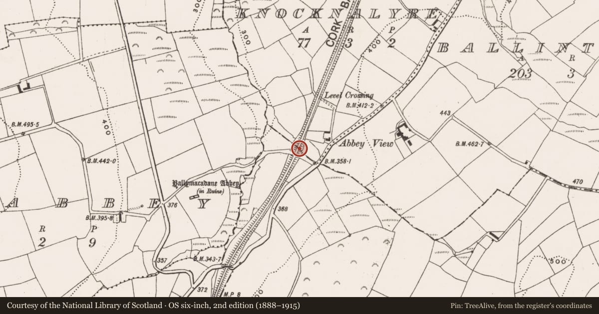 Ordnance Survey six-inch map, 2nd edition (1888–1915) covering the location of Bridge, Knocknalyre, Liskillea, County Cork, with a pin at the register's coordinates