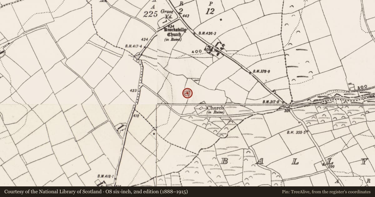 Ordnance Survey six-inch map, 2nd edition (1888–1915) covering the location of Burial ground, Kill, County Cork, with a pin at the register's coordinates