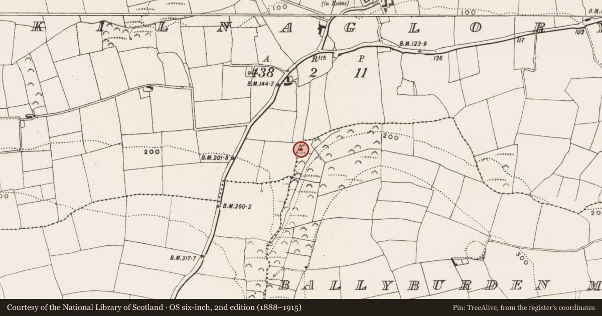 Ordnance Survey six-inch map, 2nd edition (1888–1915) covering the location of Fulacht fia, Kilnaglory, County Cork, with a pin at the register's coordinates