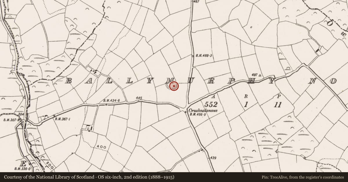 Ordnance Survey six-inch map, 2nd edition (1888–1915) covering the location of Souterrain, Ballymurphy North, County Cork, with a pin at the register's coordinates