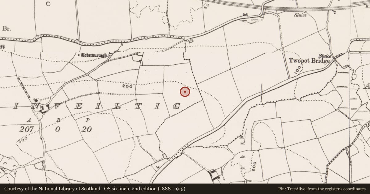 Ordnance Survey six-inch map, 2nd edition (1888–1915) covering the location of Enclosure, Ballinveiltig, County Cork, with a pin at the register's coordinates