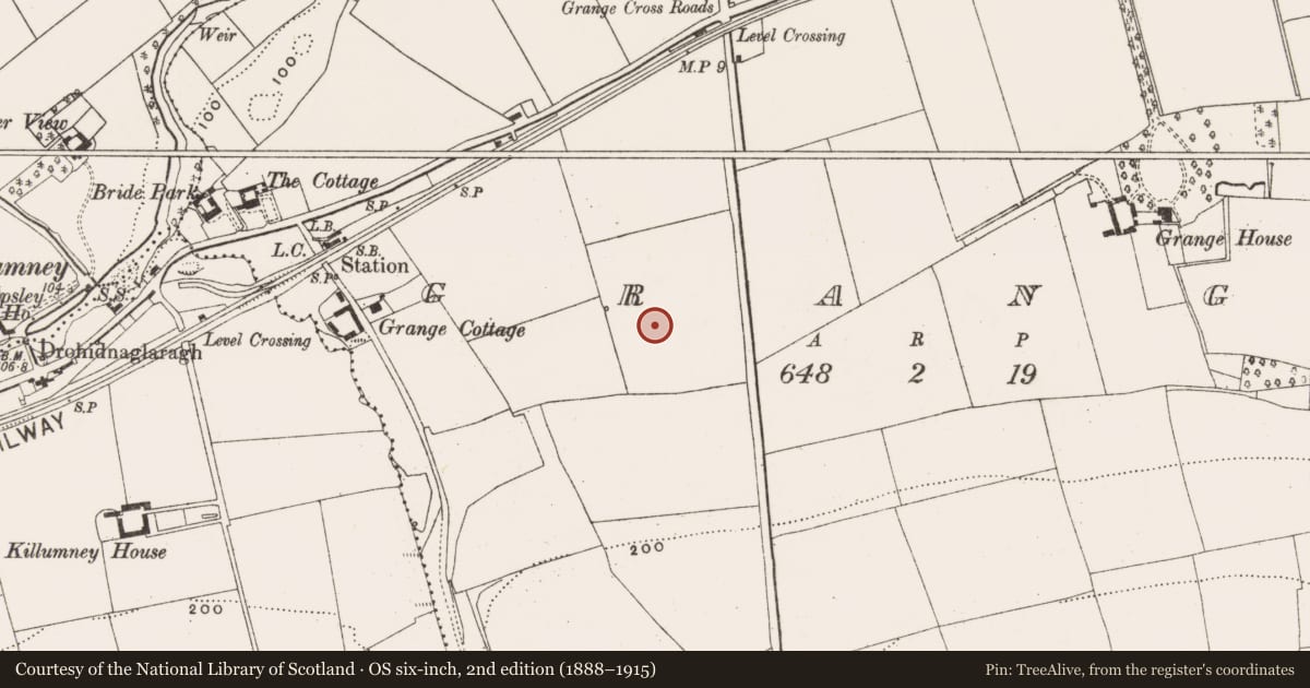 Ordnance Survey six-inch map, 2nd edition (1888–1915) covering the location of Enclosure, Grange, County Cork, with a pin at the register's coordinates