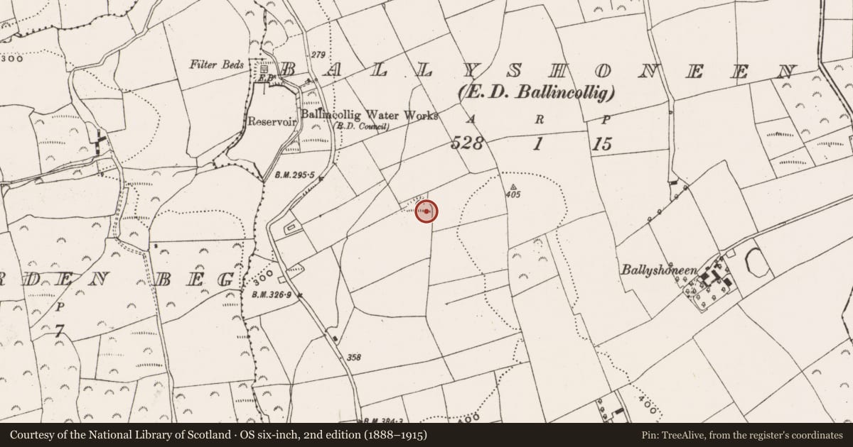 Ordnance Survey six-inch map, 2nd edition (1888–1915) covering the location of Souterrain, Ballyshoneen (Muskerry East By., Corbally Par.), County Cork, with a pin at the register's coordinates