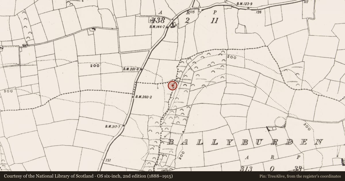 Ordnance Survey six-inch map, 2nd edition (1888–1915) covering the location of Fulacht fia, Ballinguilly (Muskerry East By., Kilnaglory Par.), County Cork, with a pin at the register's coordinates