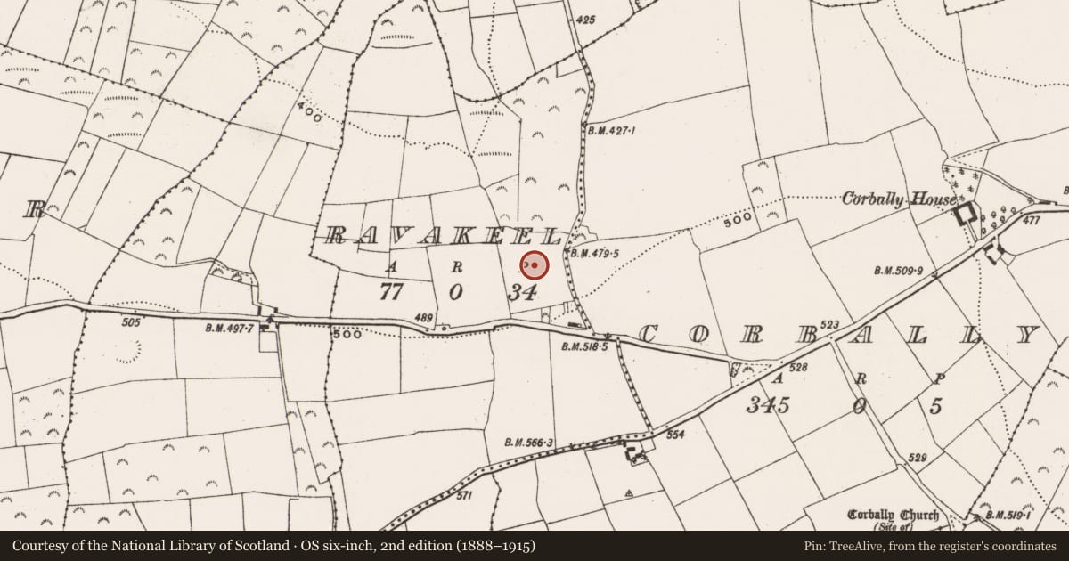 Ordnance Survey six-inch map, 2nd edition (1888–1915) covering the location of Fulacht fia, Ravakeel, County Cork, with a pin at the register's coordinates