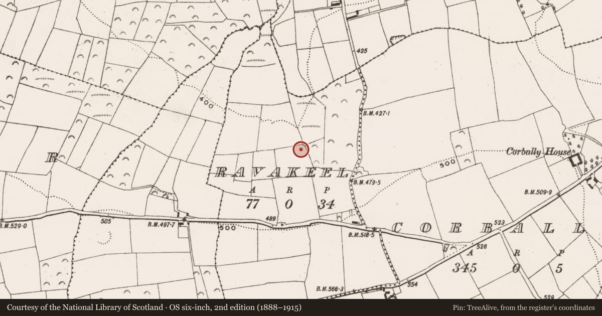 Ordnance Survey six-inch map, 2nd edition (1888–1915) covering the location of Fulacht fia, Ravakeel, County Cork, with a pin at the register's coordinates
