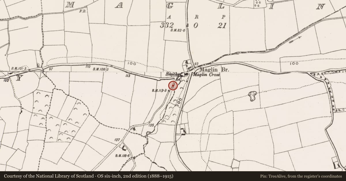 Ordnance Survey six-inch map, 2nd edition (1888–1915) covering the location of Fulacht fia, Maglin, County Cork, with a pin at the register's coordinates