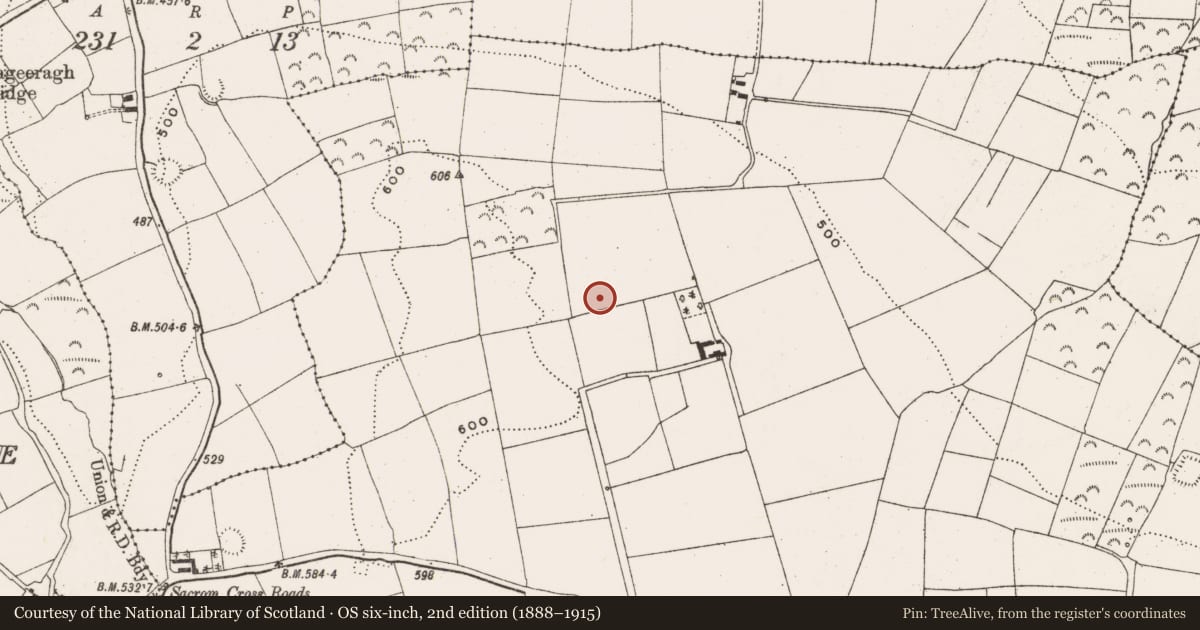 Ordnance Survey six-inch map, 2nd edition (1888–1915) covering the location of Fulacht fia, Windsor, County Cork, with a pin at the register's coordinates